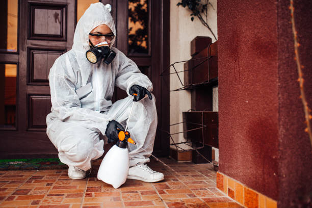 Reliable Cockroach Control contractor in Sweet Springs, MO by Nex Pest Control