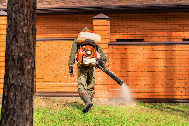 Trusted Emergency Pest Control service in Sweet Springs, MO - Nex Pest Control
